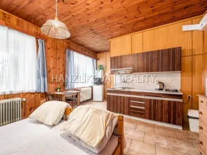 Prodej vícegeneračního domu, Chlum u Třeboně, Hejtmanská hráz, 1253 m2