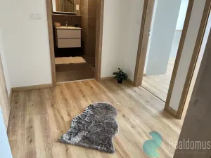 Pronájem bytu 2+kk, České Budějovice, České Vrbné, 56 m2