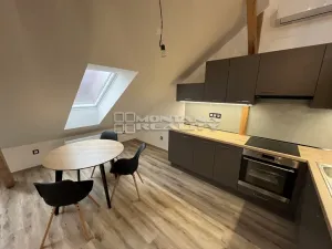 Pronájem bytu 2+kk, Olomouc, Hněvotínská, 80 m2