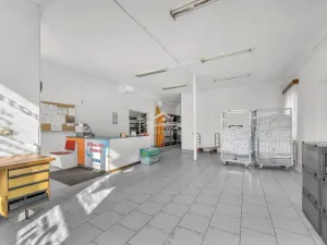 Prodej komerční nemovitosti, Havlíčkův Brod, Sázavská, 750 m2