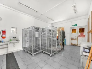 Prodej komerční nemovitosti, Havlíčkův Brod, Sázavská, 750 m2