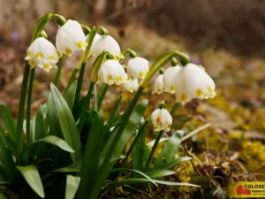 Prodej rodinného domu, Drnovice, 110 m2