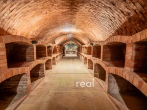 Prodej - jiné, Čejkovice, 468 m2