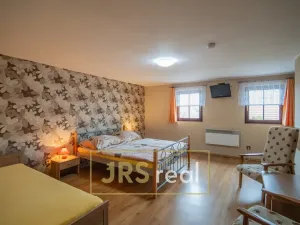 Prodej - jiné, Čejkovice, 468 m2