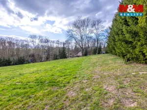 Prodej pozemku pro bydlení, Velká Bukovina, 4466 m2