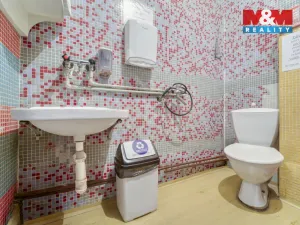 Pronájem obchodního prostoru, Plzeň - Jižní Předměstí, Husova, 103 m2