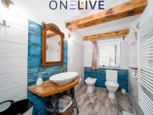 Prodej chalupy, Ošelín - Lobzy, 110 m2