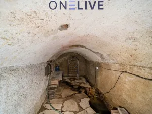 Prodej chalupy, Ošelín - Lobzy, 110 m2