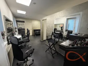 Prodej komerční nemovitosti, Prostějov, Blahoslavova, 250 m2