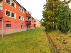 Prodej bytu 1+1, Horní Benešov, Leskovská, 35 m2