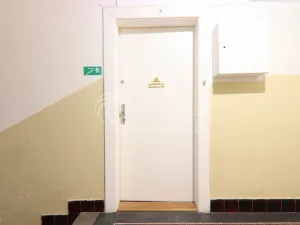 Pronájem bytu 2+kk, Praha - Dejvice, Koulova, 40 m2