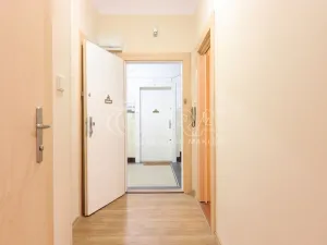 Pronájem bytu 2+kk, Praha - Dejvice, Koulova, 40 m2