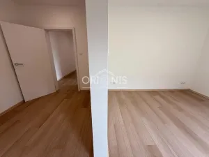 Pronájem domu na klíč, Chomutov, Březový vrch, 110 m2