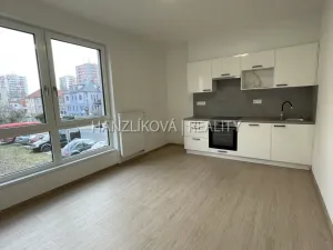 Pronájem bytu 1+kk, České Budějovice, Hálkova, 24 m2