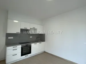 Pronájem bytu 1+kk, České Budějovice, Hálkova, 24 m2