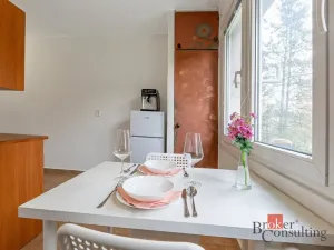 Prodej bytu 1+1, Plzeň, Smrková, 42 m2