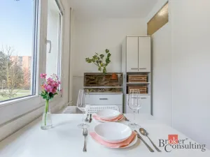 Prodej bytu 1+1, Plzeň, Smrková, 42 m2