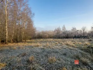 Prodej pozemku pro bydlení, Strašín, 3363 m2