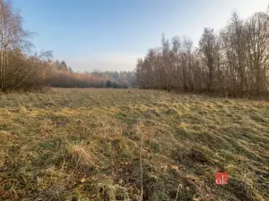 Prodej pozemku pro bydlení, Strašín, 3363 m2