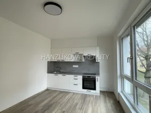 Pronájem bytu 2+kk, České Budějovice, Hálkova, 40 m2