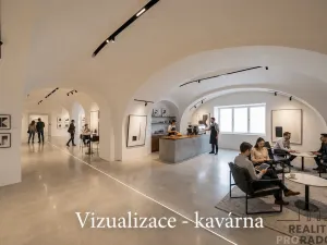 Prodej komerční nemovitosti, Chudenice, Mírové nám., 1906 m2