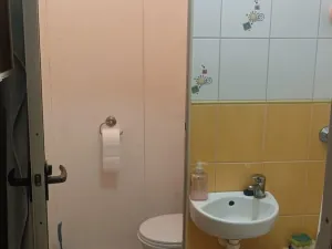 Prodej bytu 1+1, Ostrava, Lumírova, 39 m2