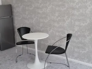 Pronájem bytu 1+kk, Praha - Vinohrady, Záhřebská, 30 m2