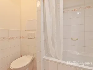 Pronájem bytu 1+1, Brno, Novoměstská, 29 m2