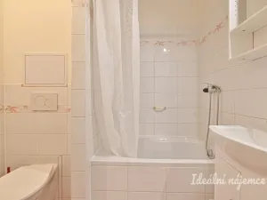 Pronájem bytu 1+1, Brno, Novoměstská, 29 m2