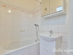 Pronájem bytu 1+1, Brno, Novoměstská, 29 m2