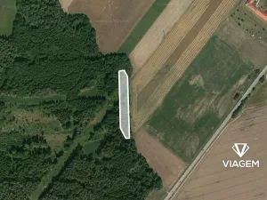 Prodej lesa, Dolní Třebonín, 2158 m2