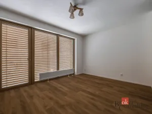 Pronájem bytu 1+kk, Plzeň - Východní Předměstí, Zahradní, 42 m2