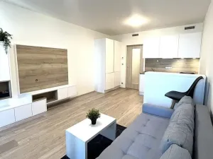 Pronájem bytu 1+kk, Praha - Libeň, Kurta Konráda, 33 m2