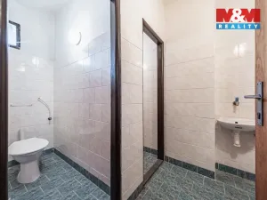 Prodej rodinného domu, Velim - Vítězov, 450 m2