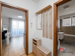 Pronájem bytu 1+kk, Heřmanova Huť - Vlkýš, U Pondu, 40 m2