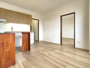 Pronájem bytu 1+1, Písek - Budějovické Předměstí, třída Přátelství, 36 m2