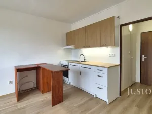 Pronájem bytu 1+1, Písek - Budějovické Předměstí, třída Přátelství, 36 m2