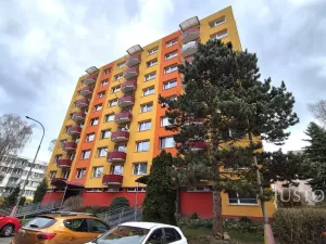 Pronájem bytu 1+1, Písek - Budějovické Předměstí, třída Přátelství, 36 m2