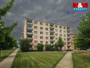 Prodej bytu 1+kk, Nové Sedlo, Sadová, 20 m2