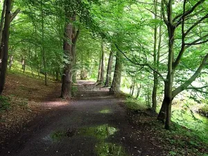 Pronájem bytu 2+kk, Praha - Libuš, K lukám, 43 m2