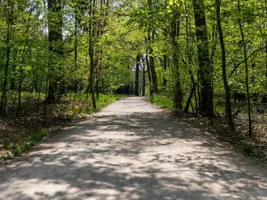 Pronájem kanceláře, Praha - Chodov, Tomíčkova, 8000 m2