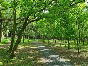 Pronájem kanceláře, Praha - Chodov, Tomíčkova, 5000 m2
