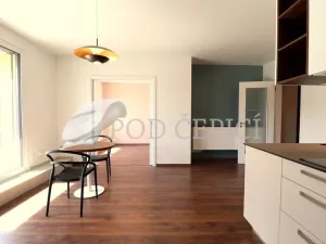 Pronájem bytu 2+kk, Brno - Ponava, U Červeného mlýna, 67 m2