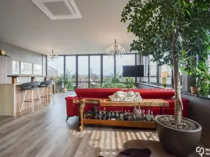 Pronájem bytu 1+kk, Olomouc, Kubíčkova, 97 m2