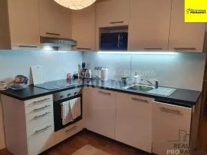 Pronájem bytu 1+1, Ústí nad Labem, Švestková, 38 m2