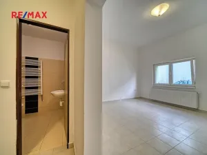 Pronájem bytu 1+kk, Poděbrady, Za Mlékárnou, 30 m2