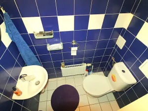 Prodej rodinného domu, Jenštejn, Cechovní, 145 m2