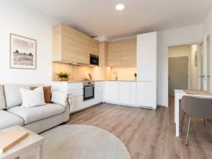 Pronájem bytu 1+kk, Brno - Zábrdovice, Spolková, 38 m2