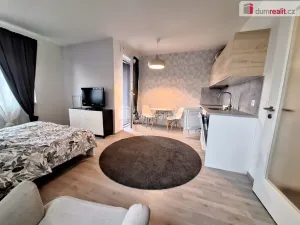 Pronájem bytu 1+kk, Praha, Strnadových, 33 m2