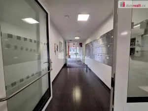 Pronájem bytu 1+kk, Praha, Strnadových, 33 m2